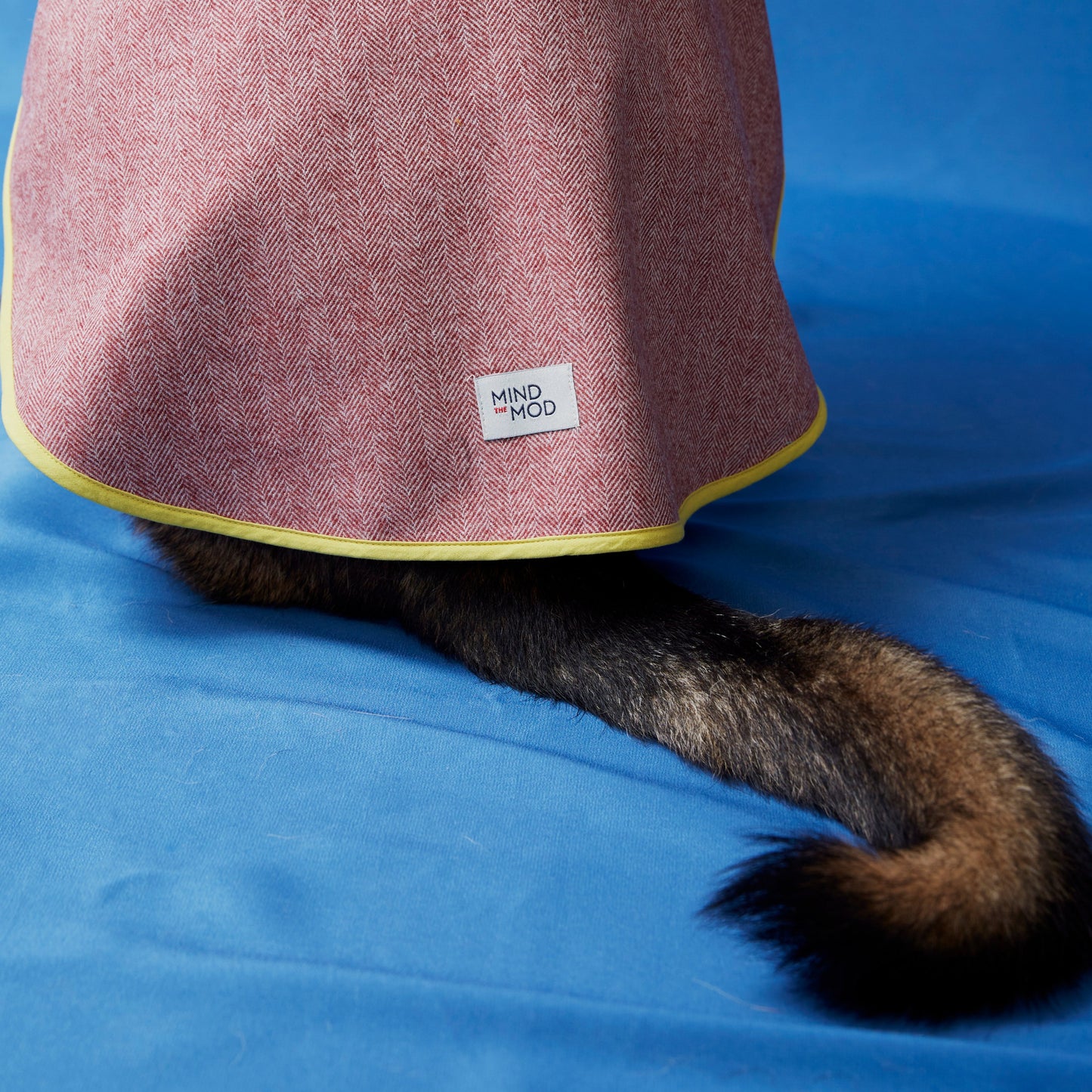 Herringbone Scarlet Köpek Ceketi
