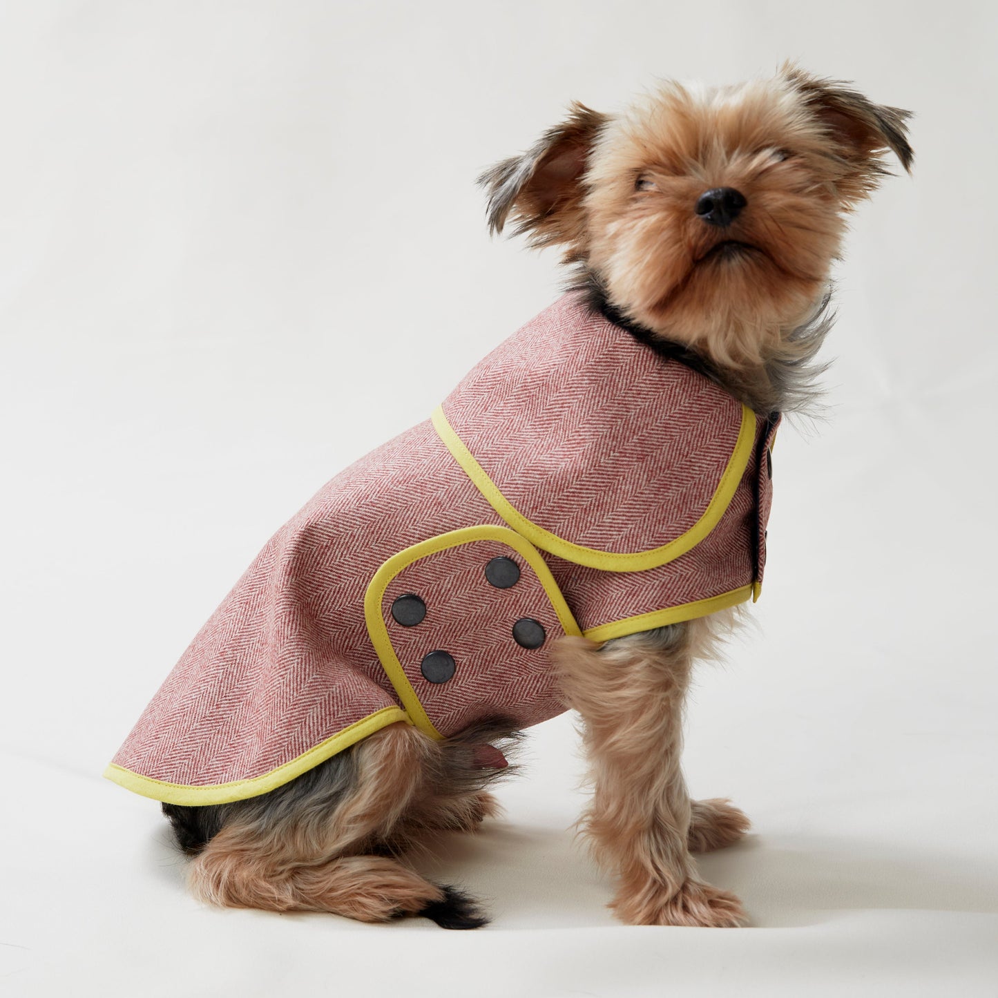 Herringbone Scarlet Köpek Ceketi