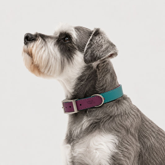 Purple Cloud Atlas Collar