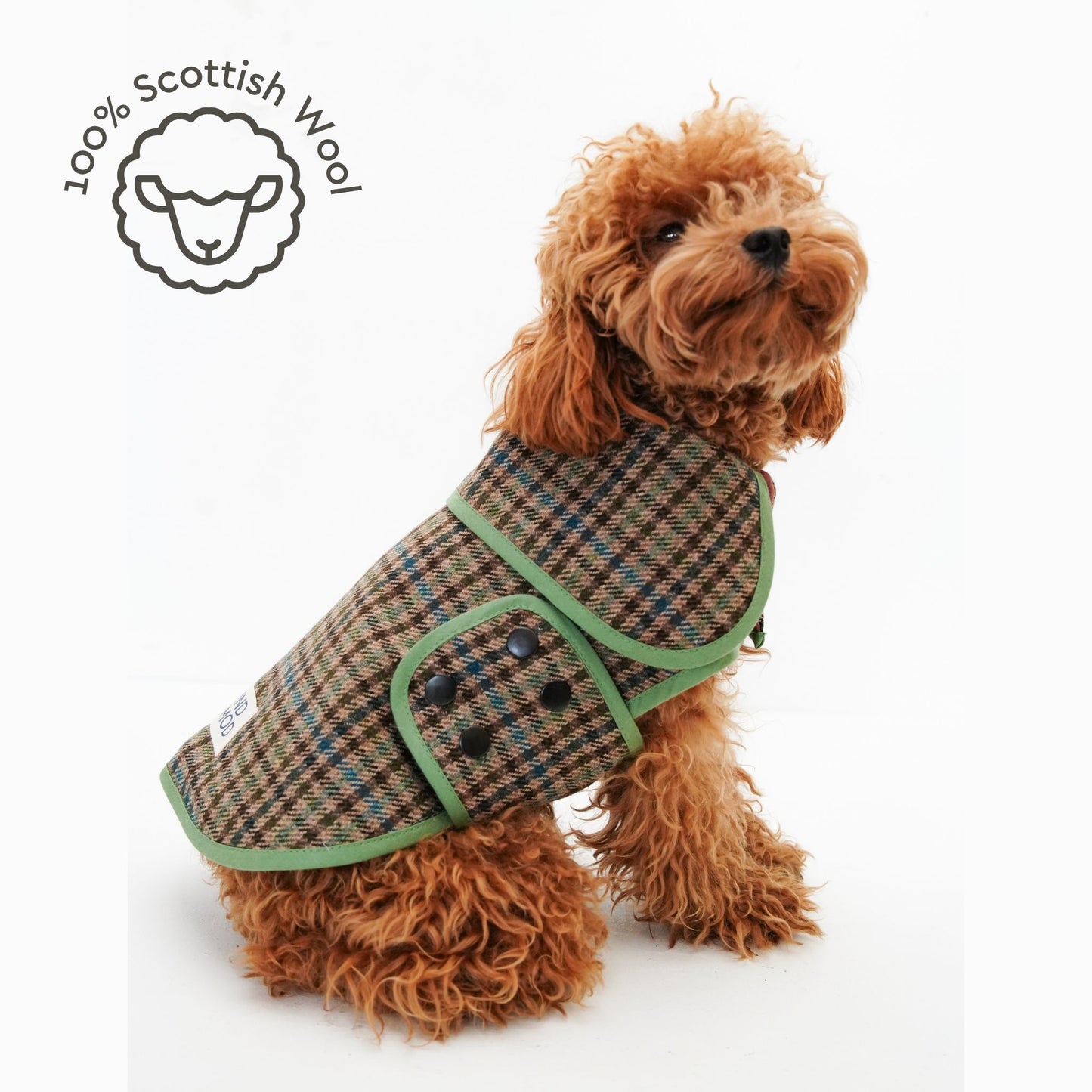 Scotch Pulse Woodland Köpek Ceketi