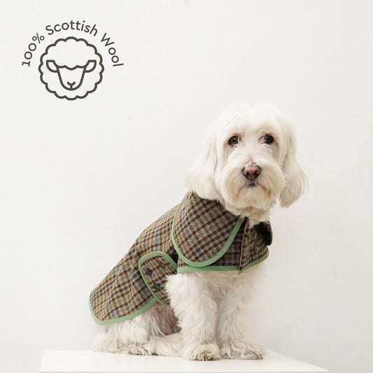 Scotch Pulse Woodland Köpek Ceketi