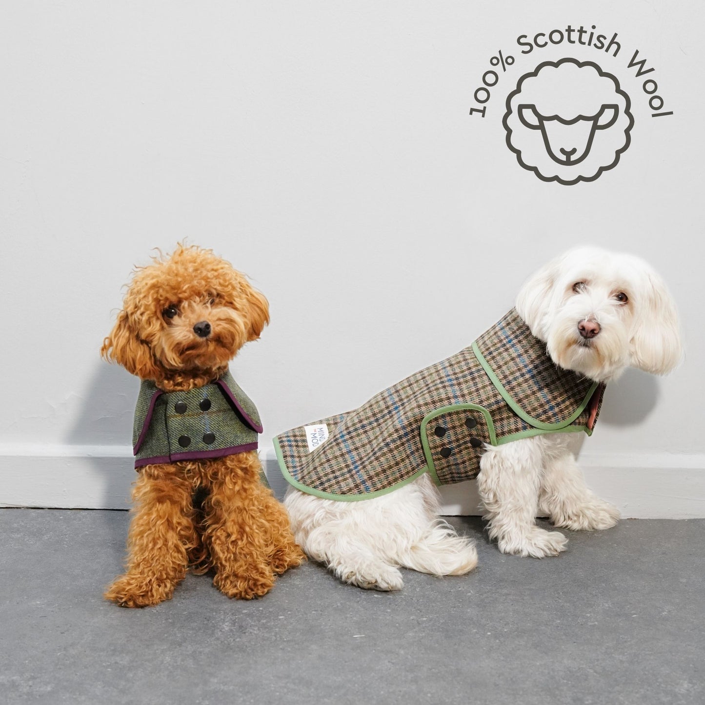 Scotch Pulse Woodland Köpek Ceketi