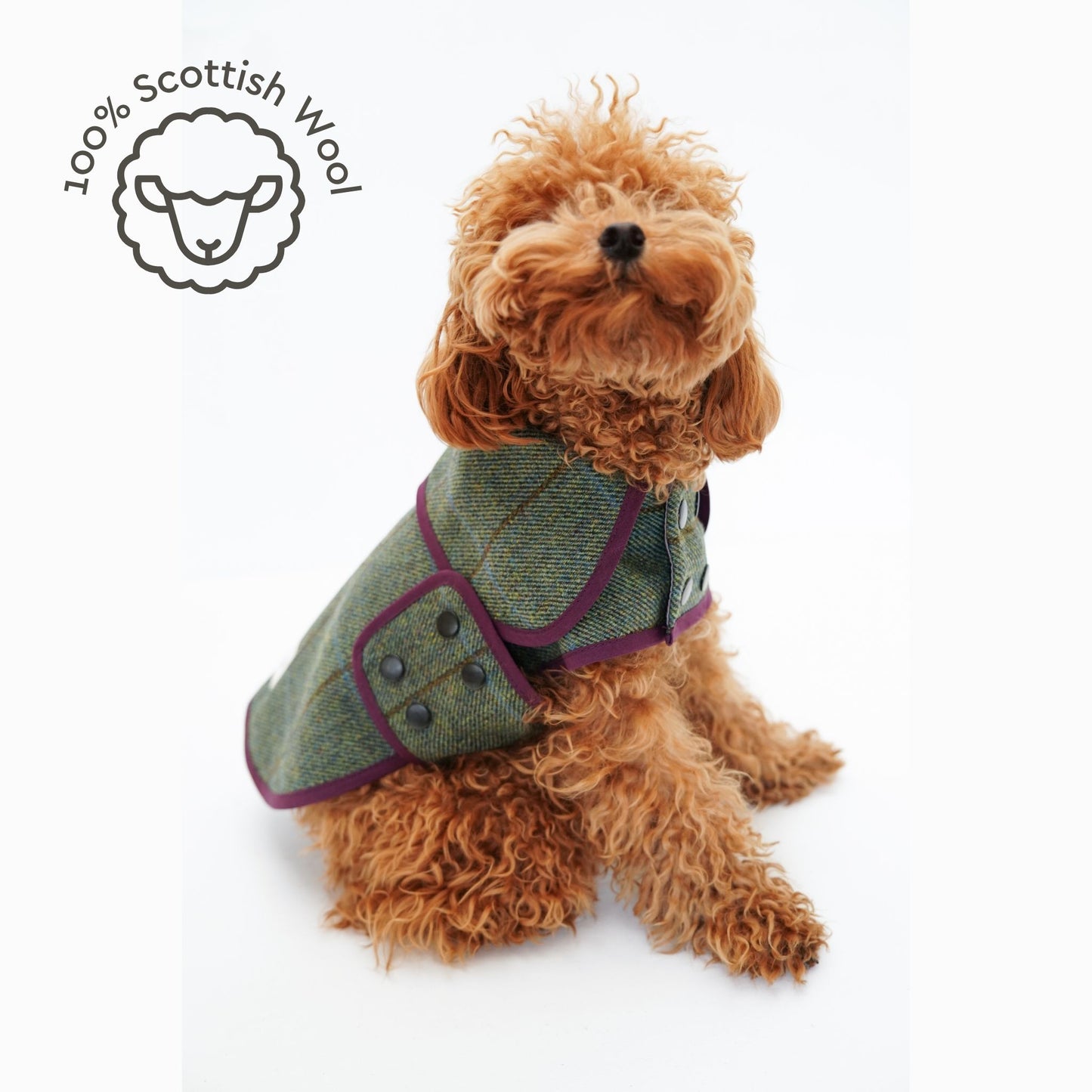 Scotch Pulse Moorland Köpek Ceketi