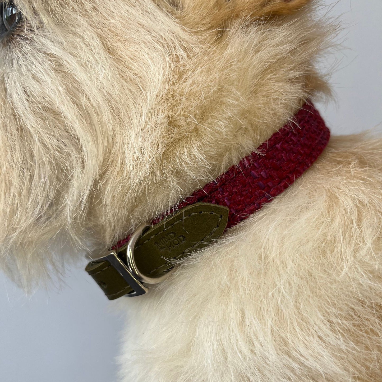 Splendid Fuchsia Mod Collar