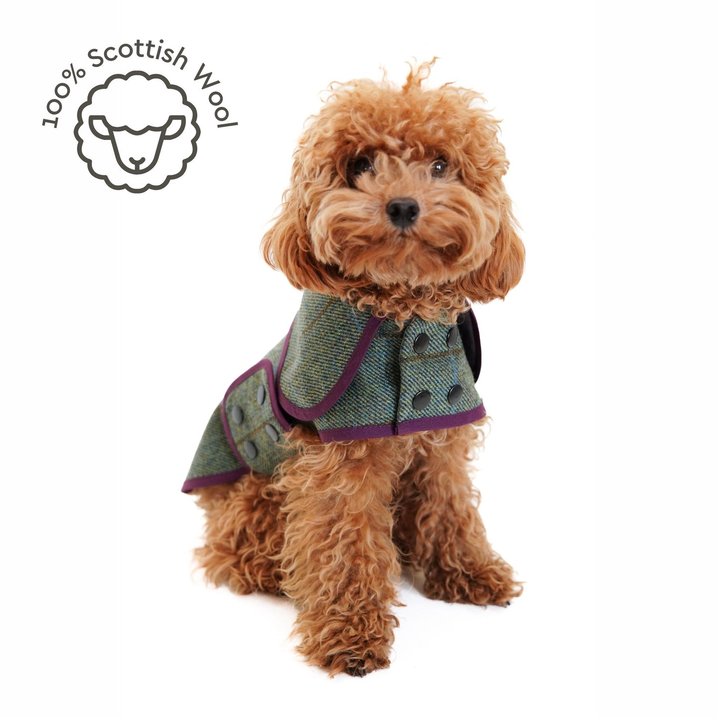 Scotch Pulse Moorland Köpek Ceketi