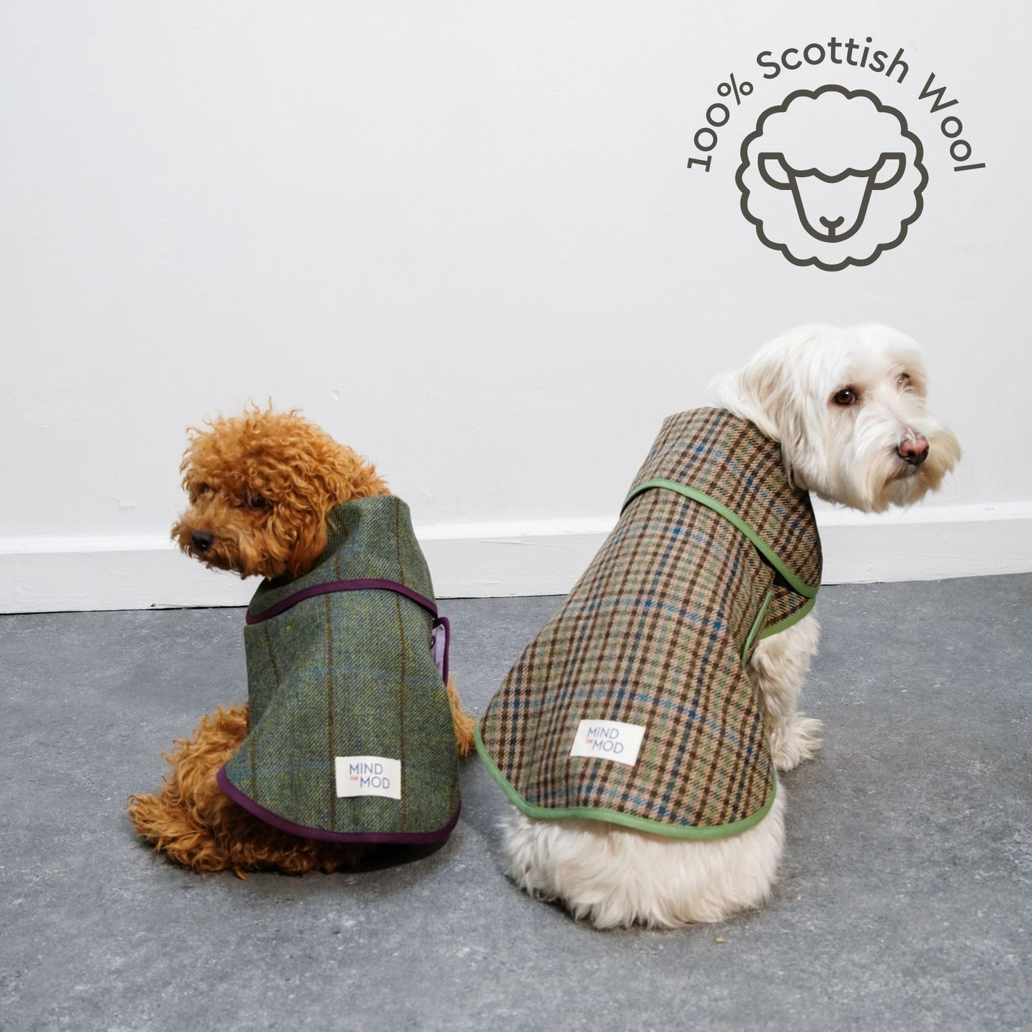 Scotch Pulse Moorland Köpek Ceketi